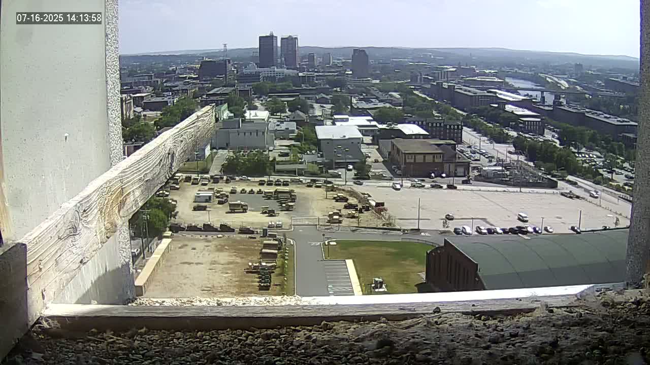 New Hampshire , Manchester City Skyline & Falcons Life Live Cam 1 - Manchester, Hillsborough, New Hampshire, USA