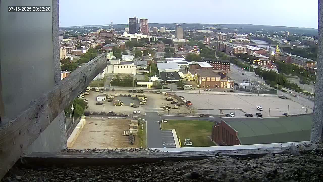 New Hampshire , Manchester City Skyline & Falcons Life Live Cam 1 - Manchester, Hillsborough, New Hampshire, USA