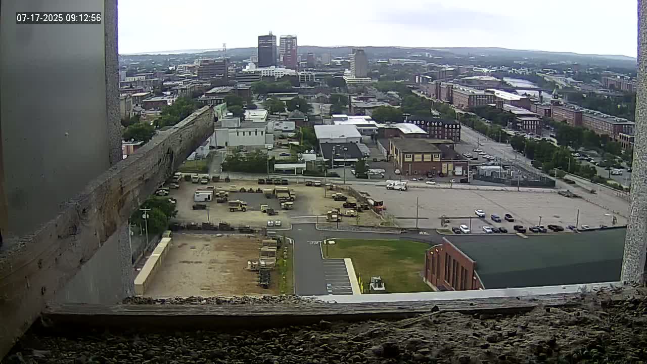 New Hampshire , Manchester City Skyline & Falcons Life Live Cam 1 - Manchester, Hillsborough, New Hampshire, USA