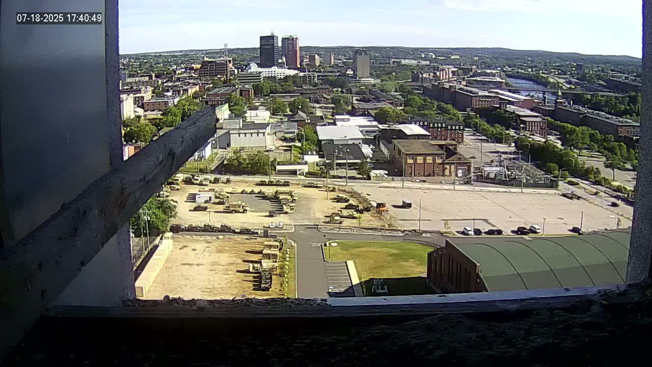 New Hampshire , Manchester City Skyline & Falcons Life Live Cam 1 - Manchester, Hillsborough, New Hampshire, USA