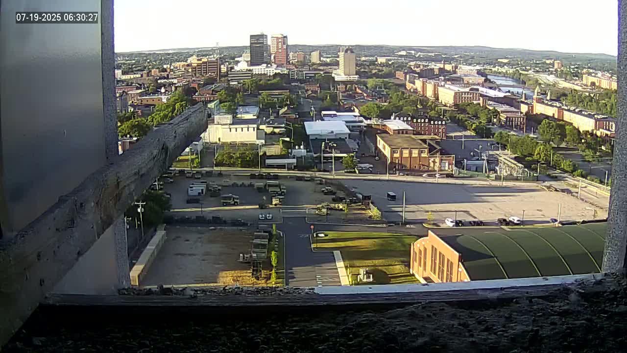 New Hampshire , Manchester City Skyline & Falcons Life Live Cam 1 - Manchester, Hillsborough, New Hampshire, USA