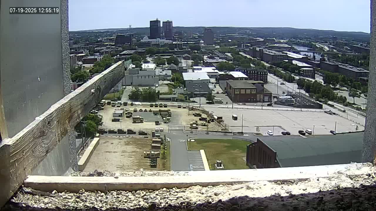 New Hampshire , Manchester City Skyline & Falcons Life Live Cam 1 - Manchester, Hillsborough, New Hampshire, USA