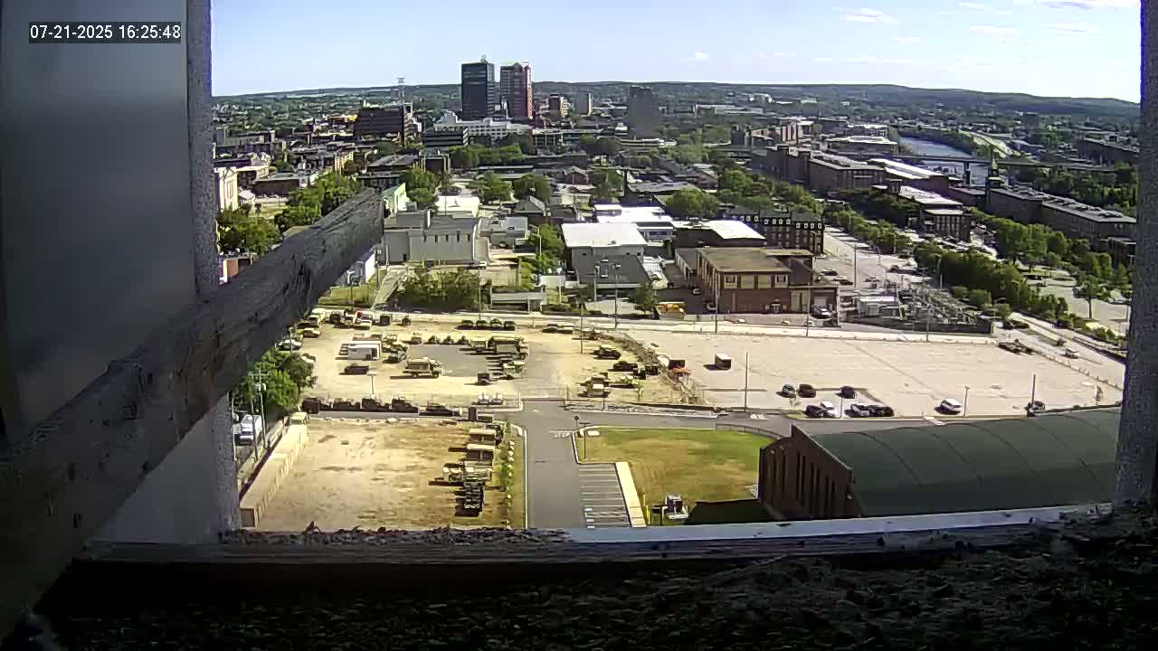 New Hampshire , Manchester City Skyline & Falcons Life Live Cam 1 - Manchester, Hillsborough, New Hampshire, USA