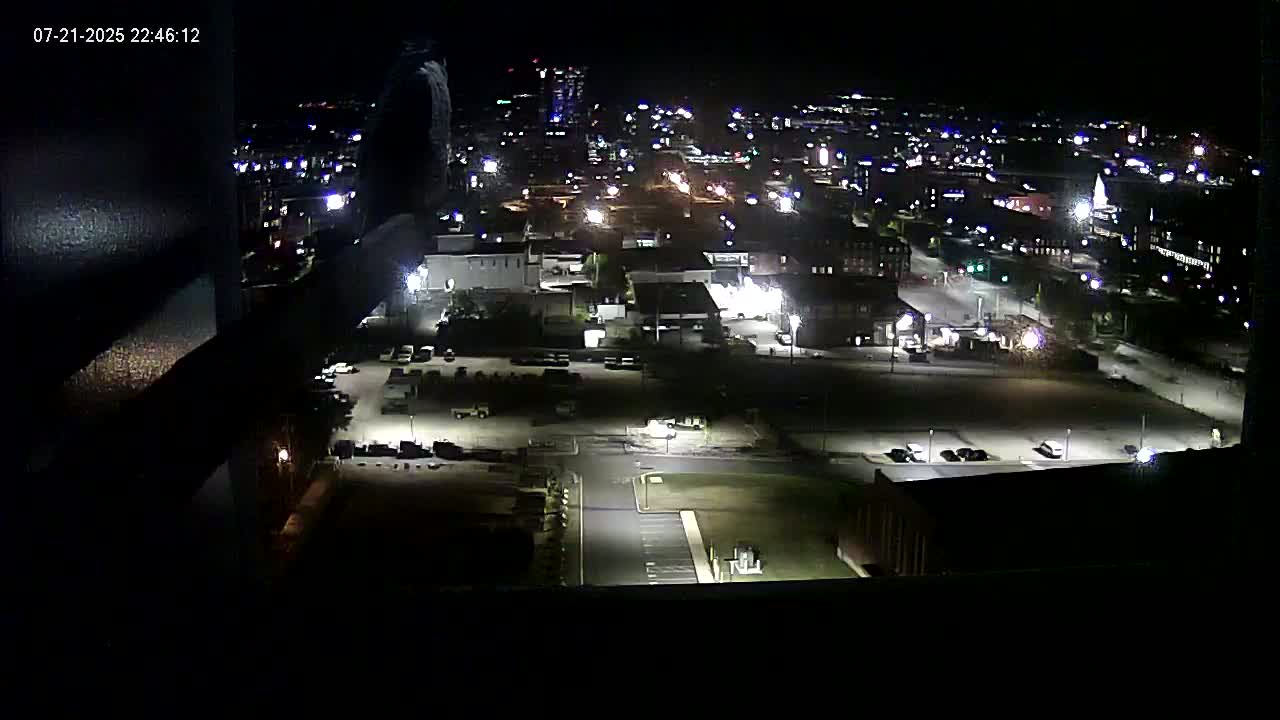 New Hampshire , Manchester City Skyline & Falcons Life Live Cam 1 - Manchester, Hillsborough, New Hampshire, USA