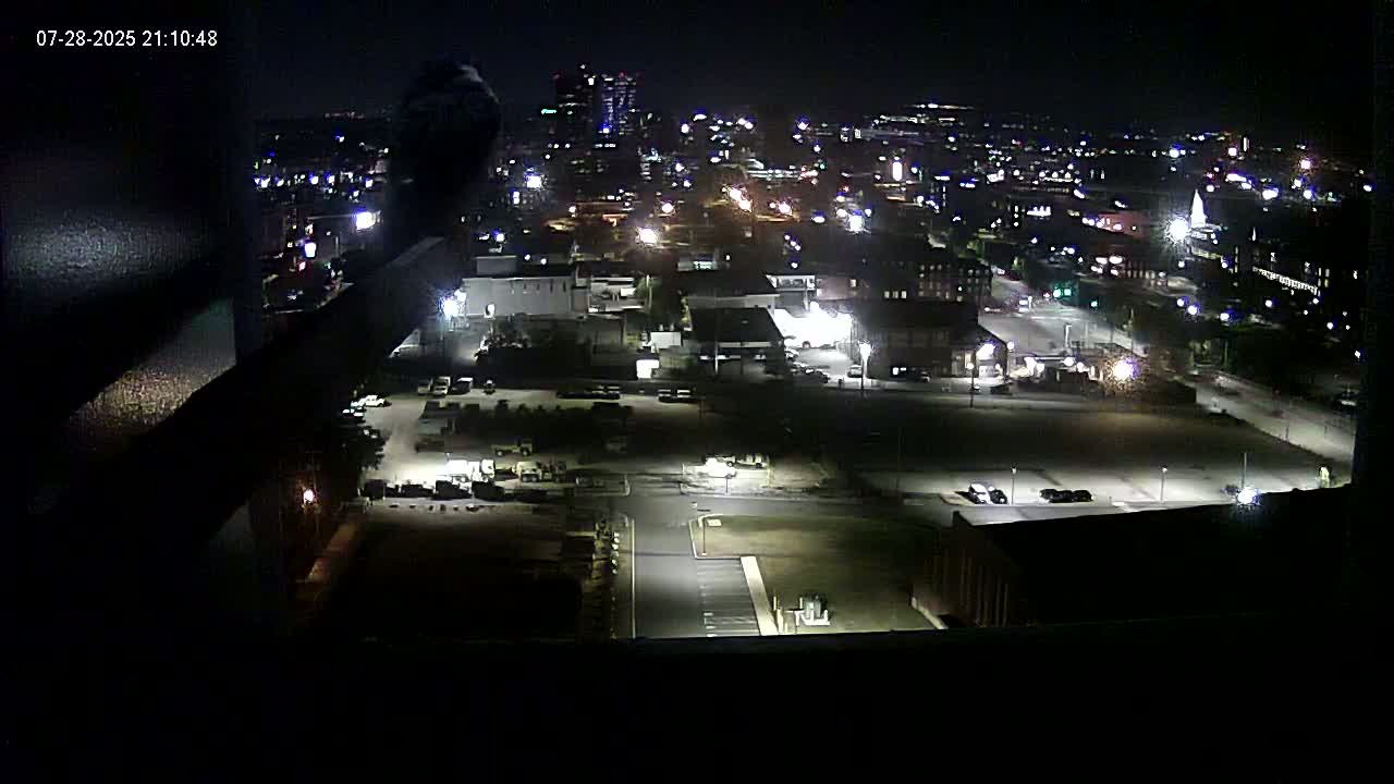 New Hampshire , Manchester City Skyline & Falcons Life Live Cam 1 - Manchester, Hillsborough, New Hampshire, USA