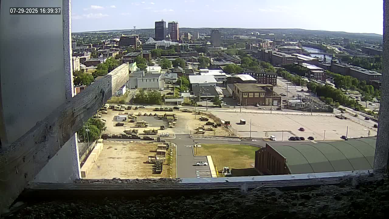 New Hampshire , Manchester City Skyline & Falcons Life Live Cam 1 - Manchester, Hillsborough, New Hampshire, USA