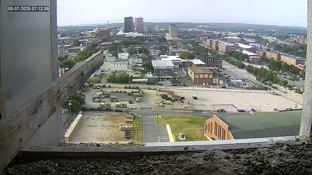 New Hampshire , Manchester City Skyline & Falcons Life Live Cam 1 - Manchester, Hillsborough, New Hampshire, USA