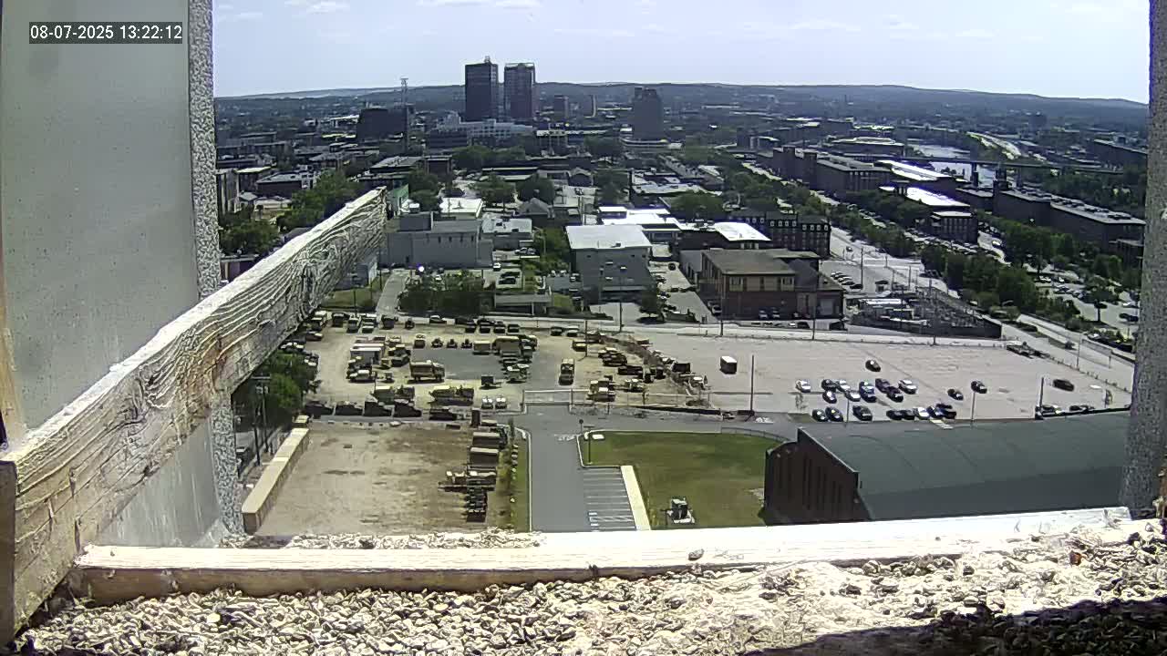 New Hampshire , Manchester City Skyline & Falcons Life Live Cam 1 - Manchester, Hillsborough, New Hampshire, USA