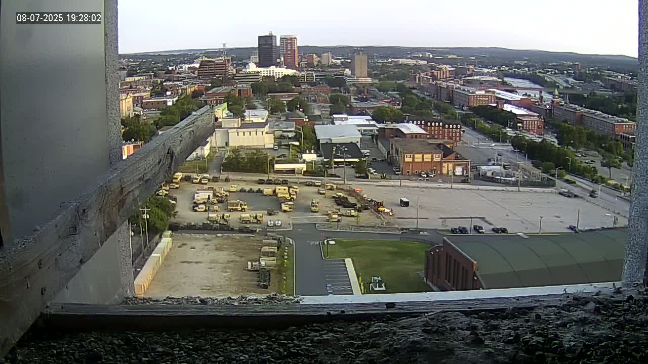 New Hampshire , Manchester City Skyline & Falcons Life Live Cam 1 - Manchester, Hillsborough, New Hampshire, USA