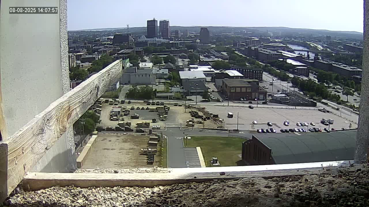 New Hampshire , Manchester City Skyline & Falcons Life Live Cam 1 - Manchester, Hillsborough, New Hampshire, USA