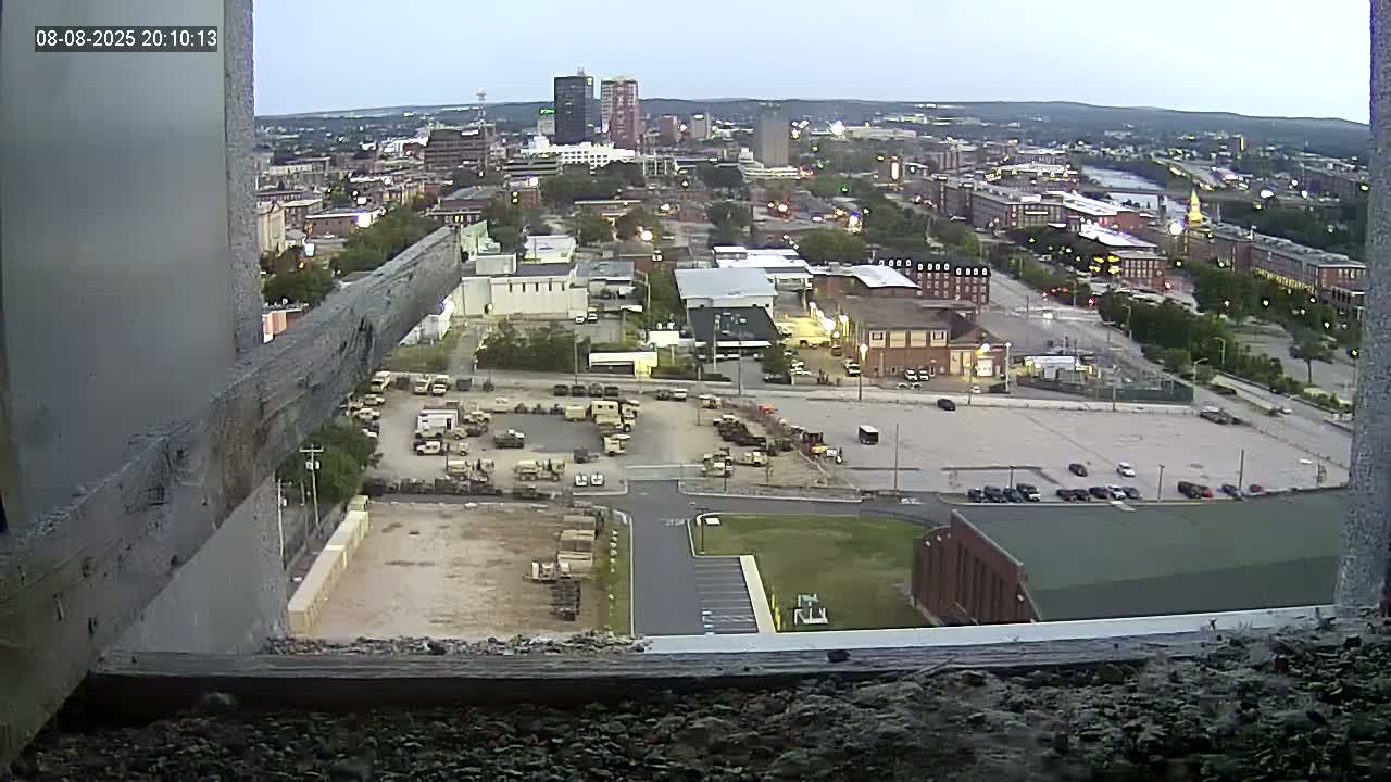 New Hampshire , Manchester City Skyline & Falcons Life Live Cam 1 - Manchester, Hillsborough, New Hampshire, USA