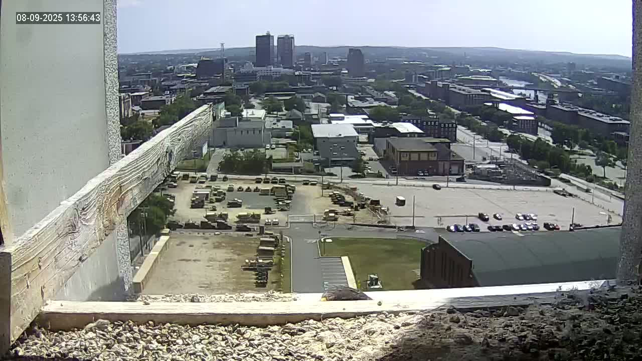 New Hampshire , Manchester City Skyline & Falcons Life Live Cam 1 - Manchester, Hillsborough, New Hampshire, USA