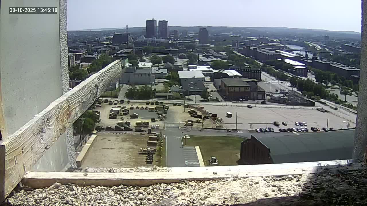 New Hampshire , Manchester City Skyline & Falcons Life Live Cam 1 - Manchester, Hillsborough, New Hampshire, USA