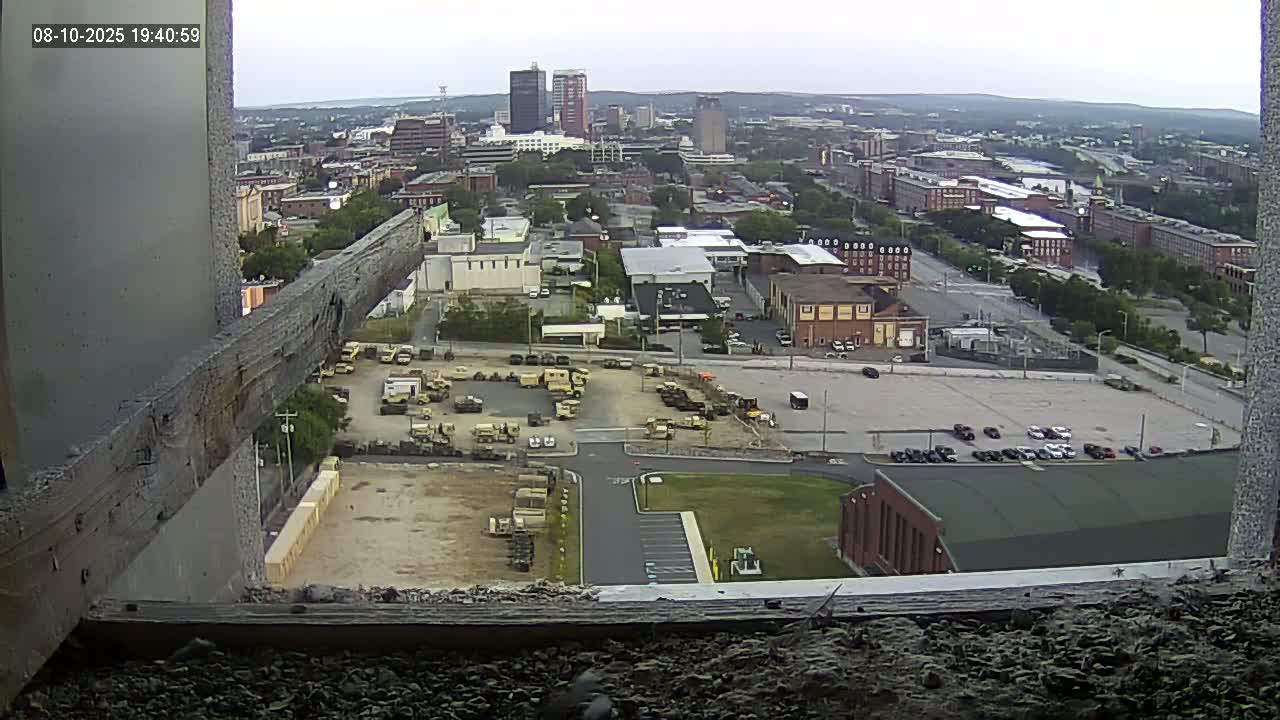 New Hampshire , Manchester City Skyline & Falcons Life Live Cam 1 - Manchester, Hillsborough, New Hampshire, USA