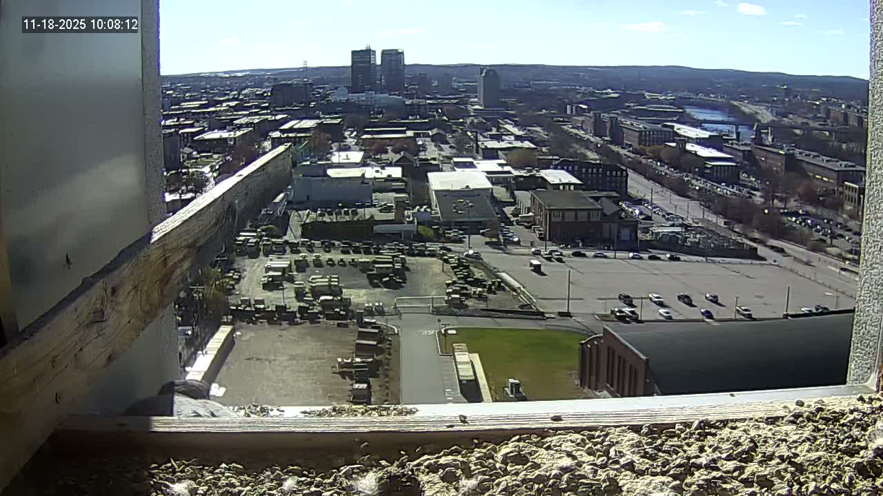 An elevated nighttime view reveals a city illuminated by countless streetlights and building lights, with several parked cars and distant traffic, all under clear skies.