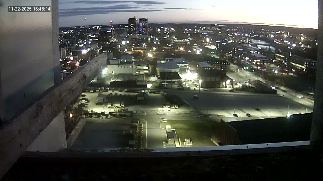 New Hampshire , Manchester City Skyline & Falcons Life Live Cam 1 - Manchester, Hillsborough, New Hampshire, USA