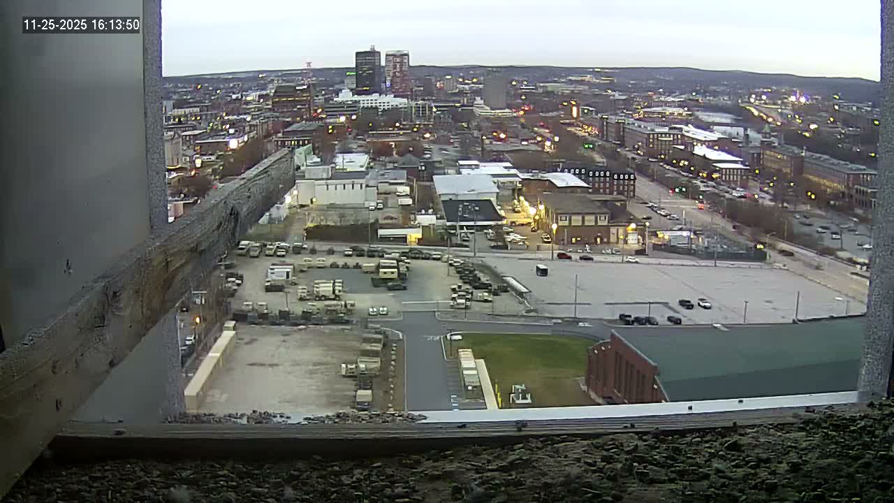 New Hampshire , Manchester City Skyline & Falcons Life Live Cam 1 - Manchester, Hillsborough, New Hampshire, USA