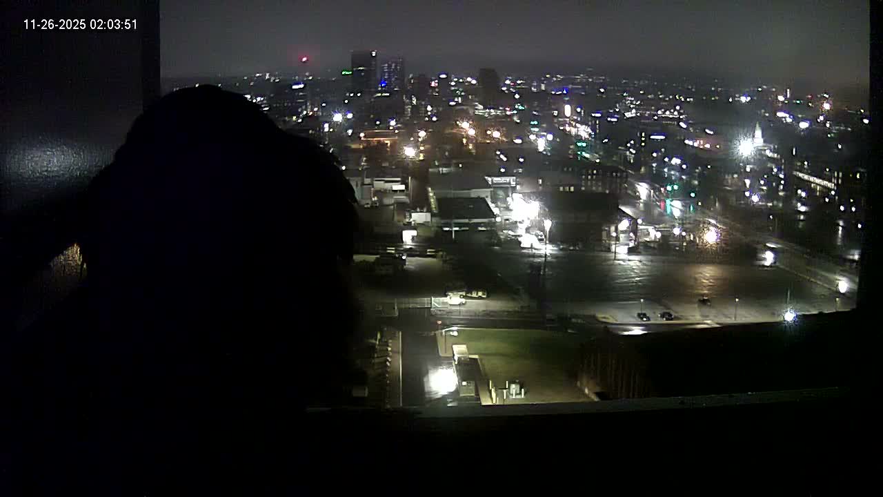New Hampshire , Manchester City Skyline & Falcons Life Live Cam 1 - Manchester, Hillsborough, New Hampshire, USA