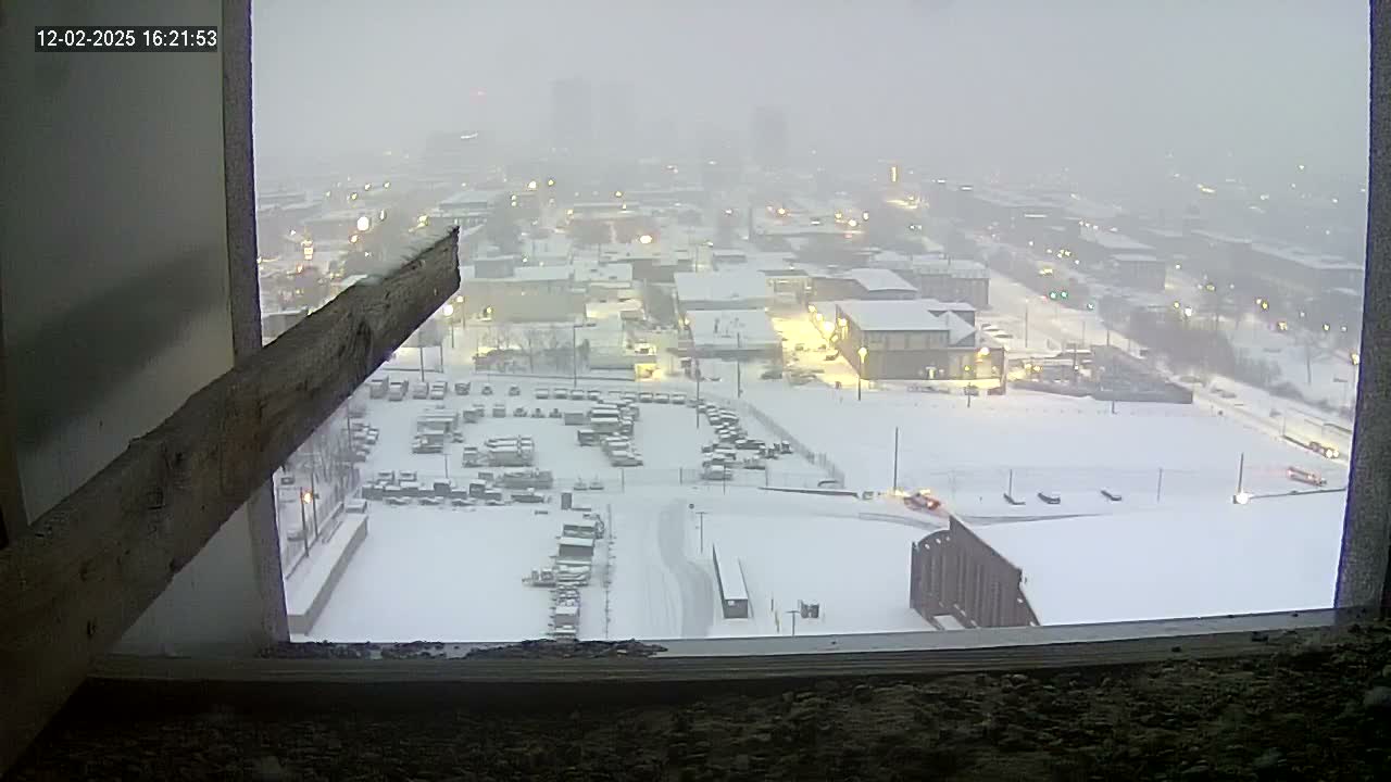 New Hampshire , Manchester City Skyline & Falcons Life Live Cam 1 - Manchester, Hillsborough, New Hampshire, USA