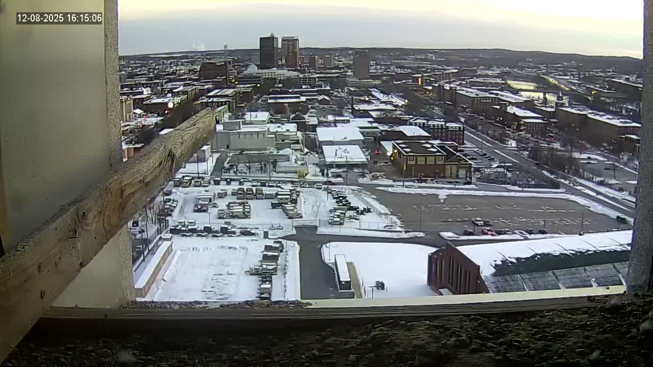 New Hampshire , Manchester City Skyline & Falcons Life Live Cam 1 - Manchester, Hillsborough, New Hampshire, USA