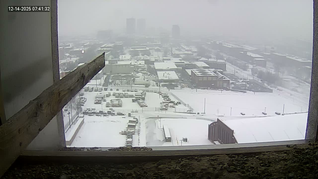 A clear nighttime wide shot from an elevated perspective showcases a brightly lit city with various buildings, active streets, and a large foreground area partially covered in snow.