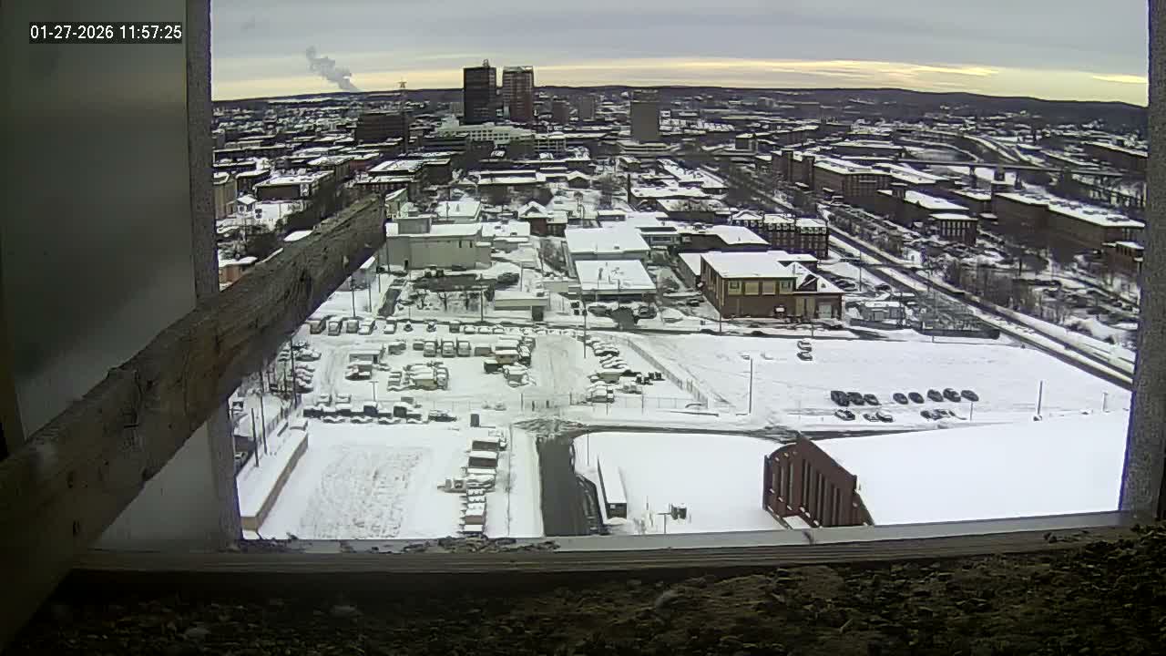 New Hampshire , Manchester City Skyline & Falcons Life Live Cam 1 - Manchester, Hillsborough, New Hampshire, USA