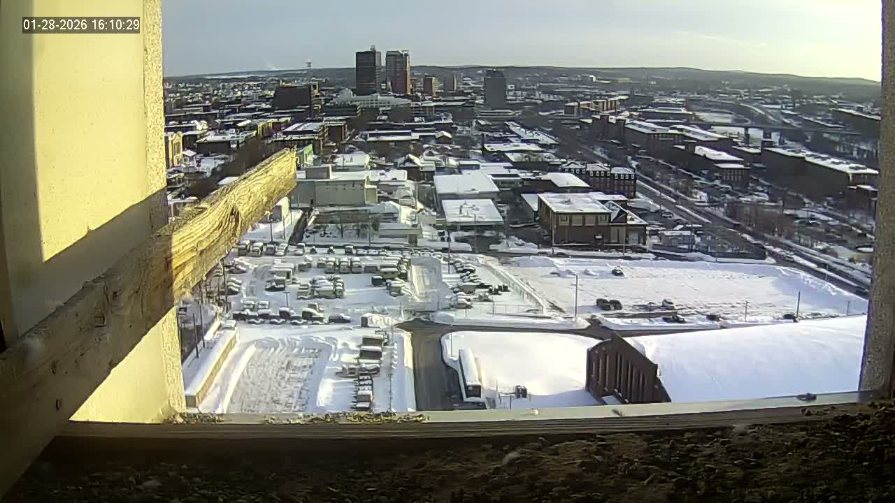 New Hampshire , Manchester City Skyline & Falcons Life Live Cam 1 - Manchester, Hillsborough, New Hampshire, USA