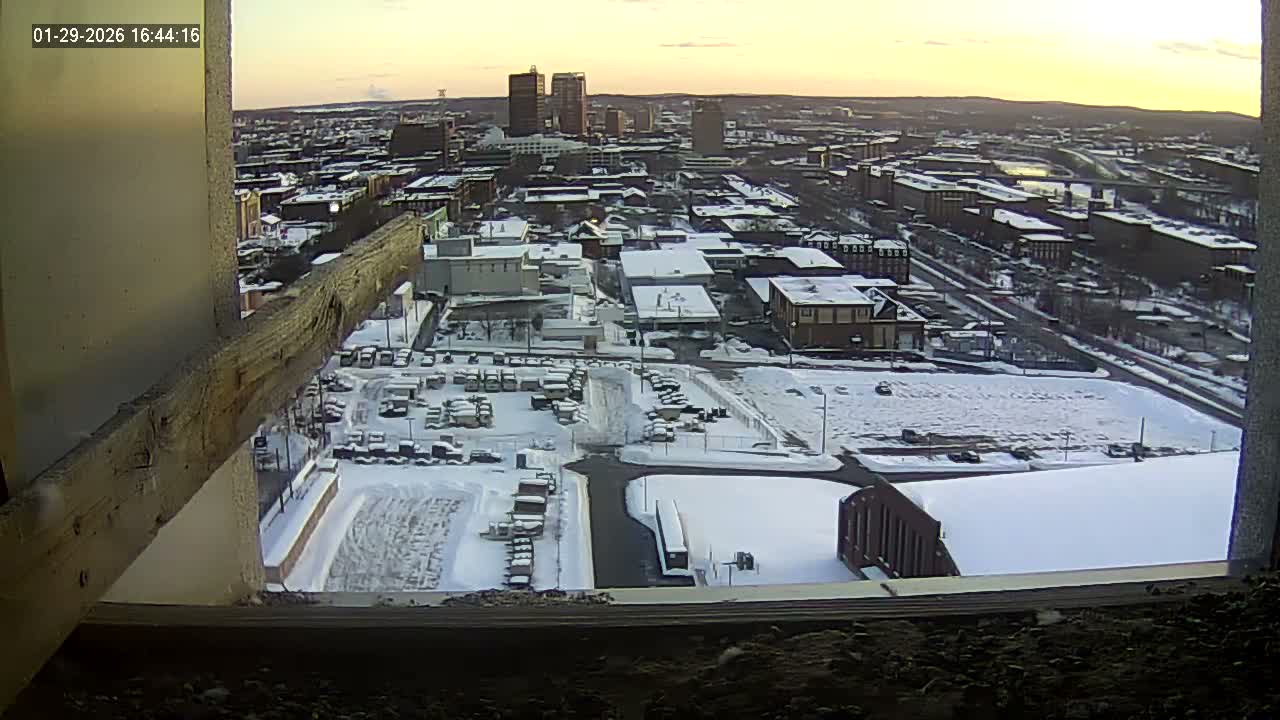 New Hampshire , Manchester City Skyline & Falcons Life Live Cam 1 - Manchester, Hillsborough, New Hampshire, USA