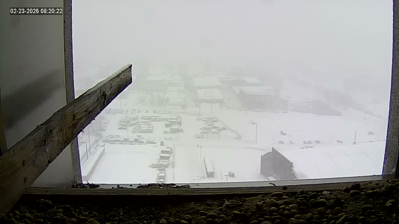New Hampshire , Manchester City Skyline & Falcons Life Live Cam 1 - Manchester, Hillsborough, New Hampshire, USA