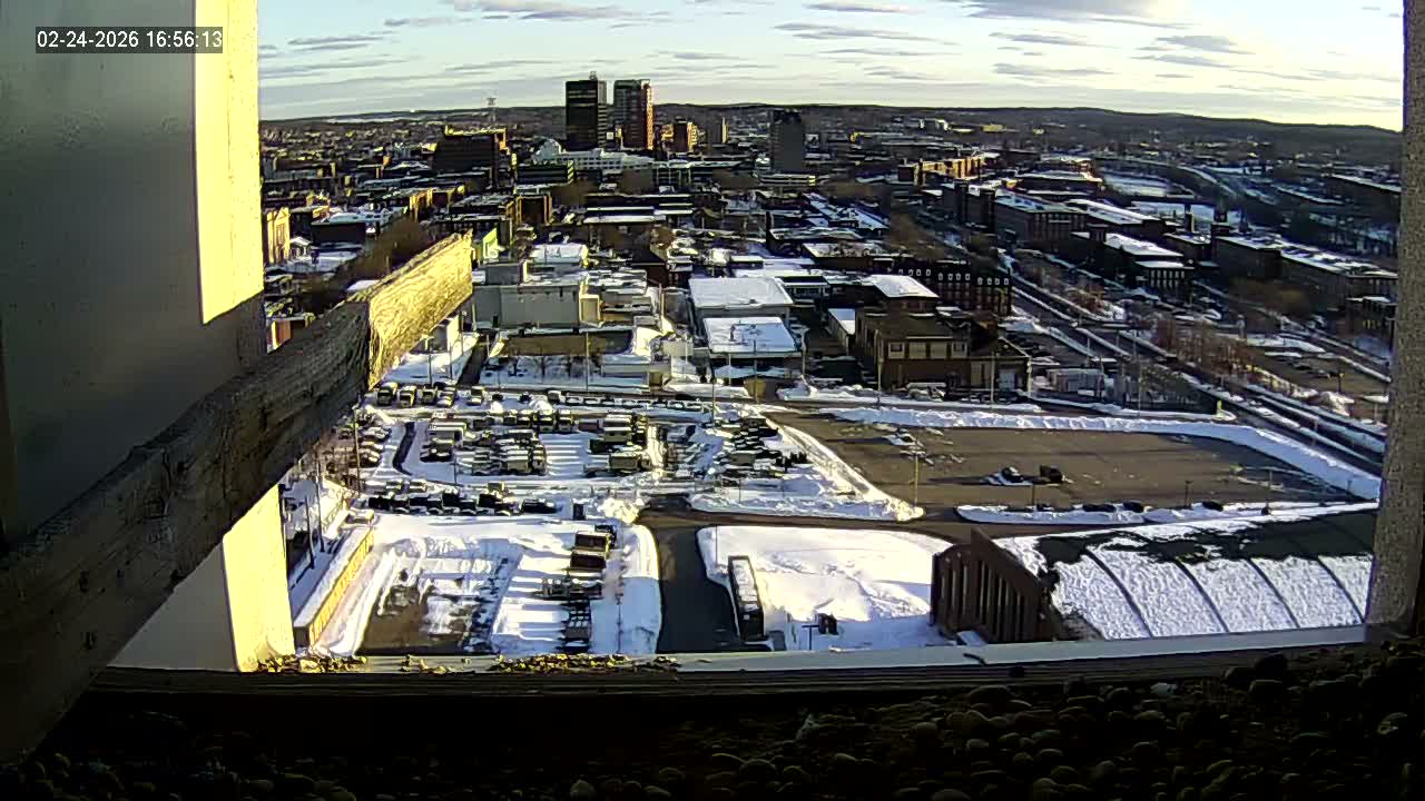 New Hampshire , Manchester City Skyline & Falcons Life Live Cam 1 - Manchester, Hillsborough, New Hampshire, USA