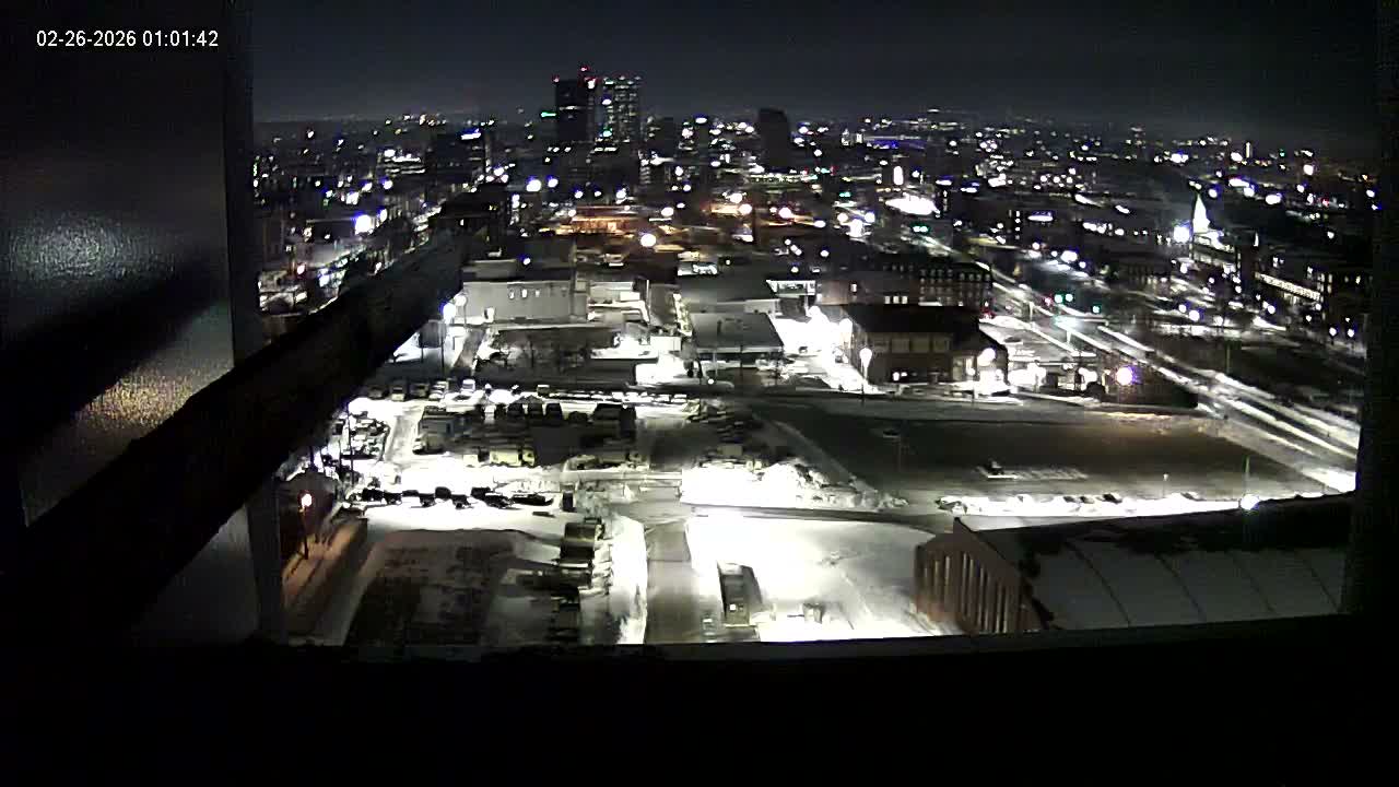 New Hampshire , Manchester City Skyline & Falcons Life Live Cam 1 - Manchester, Hillsborough, New Hampshire, USA