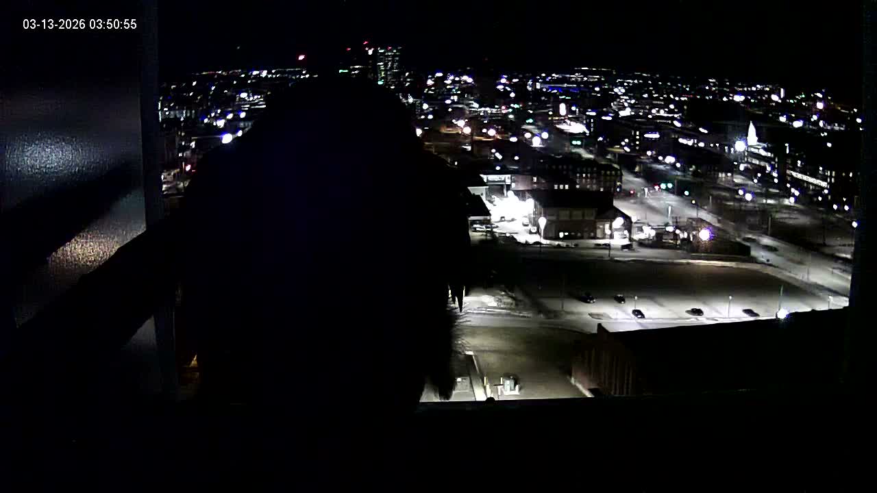 New Hampshire , Manchester City Skyline & Falcons Life Live Cam 1 - Manchester, Hillsborough, New Hampshire, USA