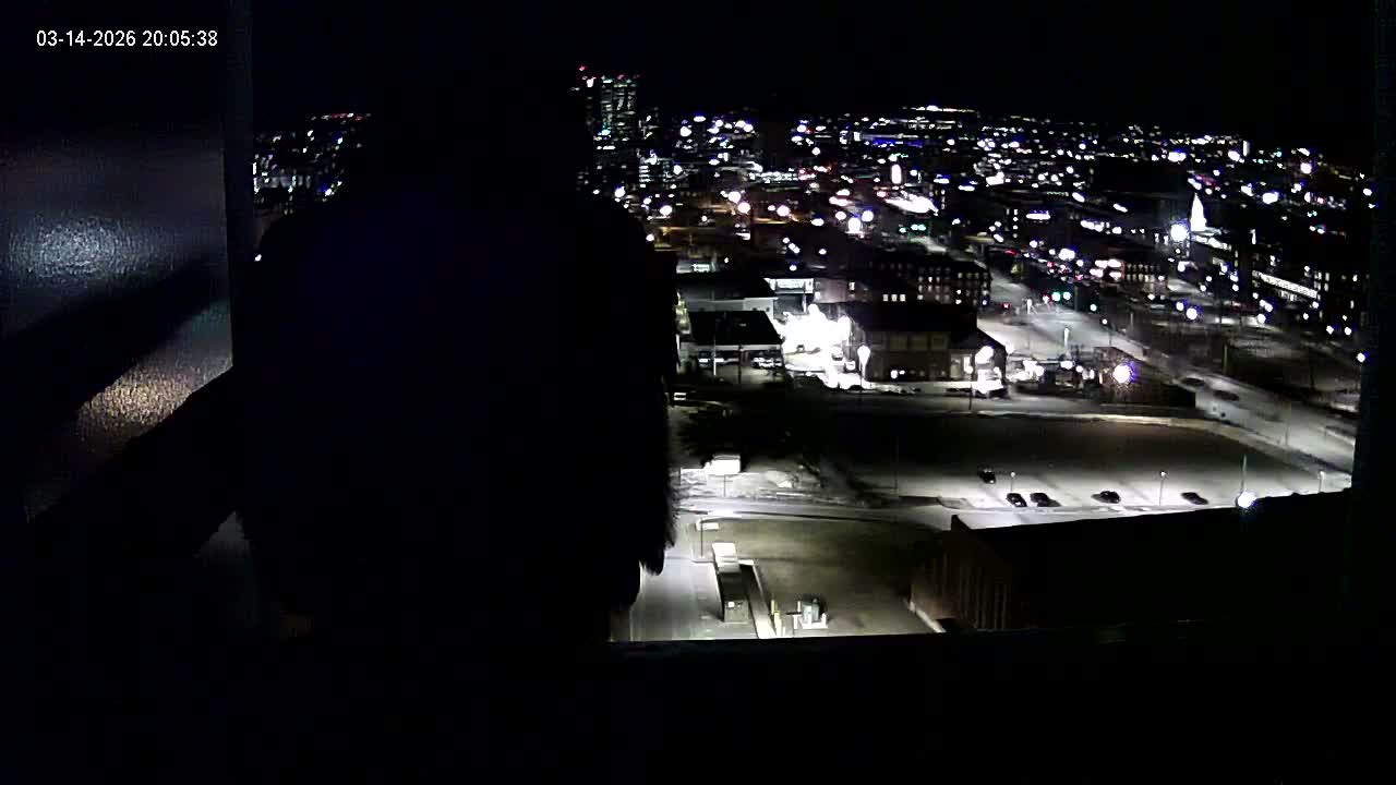 New Hampshire , Manchester City Skyline & Falcons Life Live Cam 1 - Manchester, Hillsborough, New Hampshire, USA