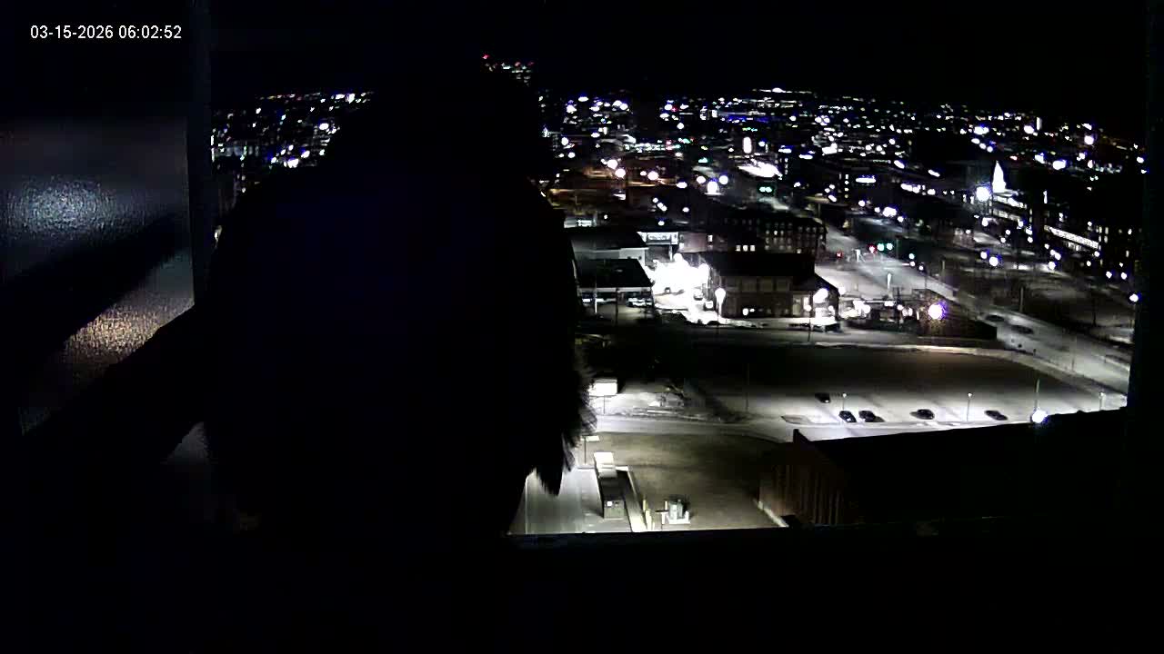 New Hampshire , Manchester City Skyline & Falcons Life Live Cam 1 - Manchester, Hillsborough, New Hampshire, USA