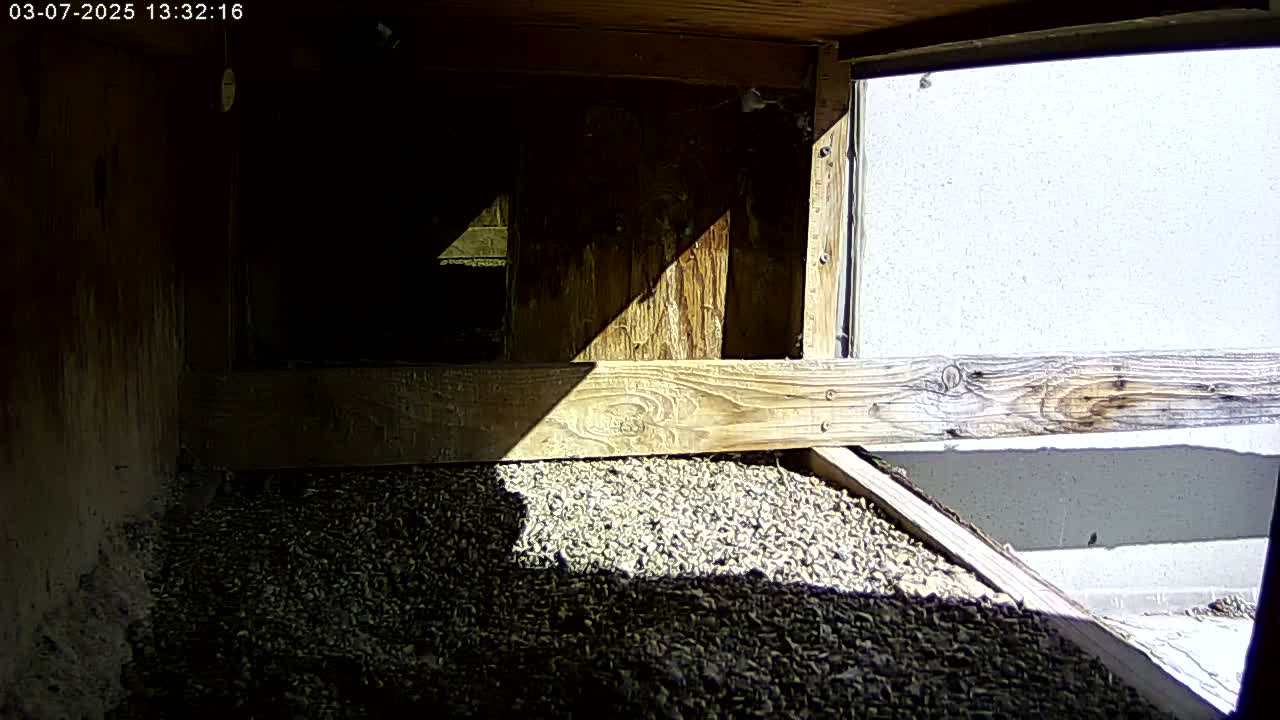 A wooden structure's interior, partially illuminated by sunlight, shows a floor covered with small, loose stones.