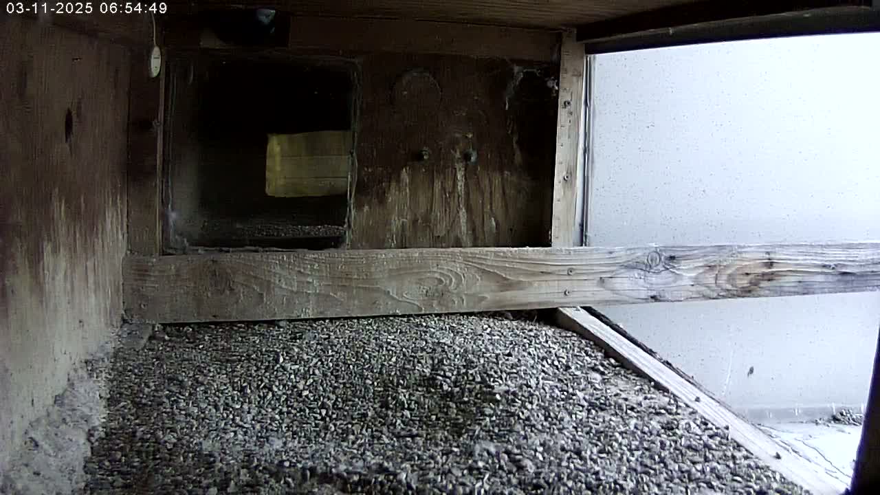 A wooden box filled with gravel is seen from inside, looking out to a light-grey wall.