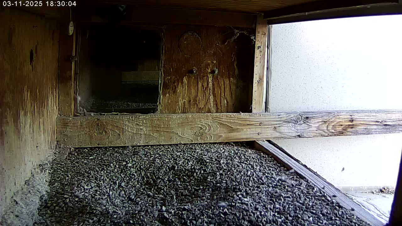 The interior of a weathered wooden birdhouse shows a floor covered in dark-colored gravel, with a view of a bright, overcast sky through an open section.