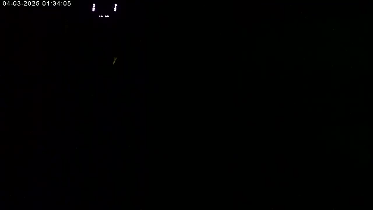 The image shows a dark, nighttime scene with a few faint, indistinct lights.