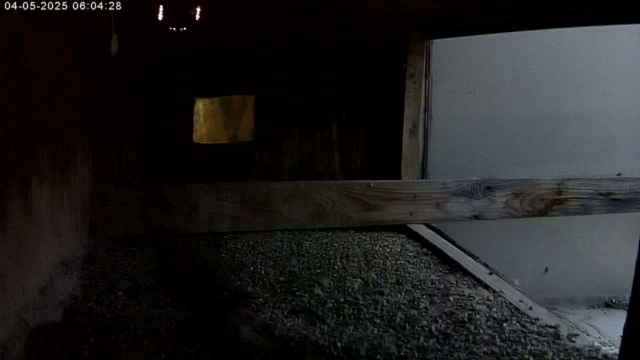A dark interior space with a wooden structure, a gravel floor, and a light-colored wall visible through an opening.