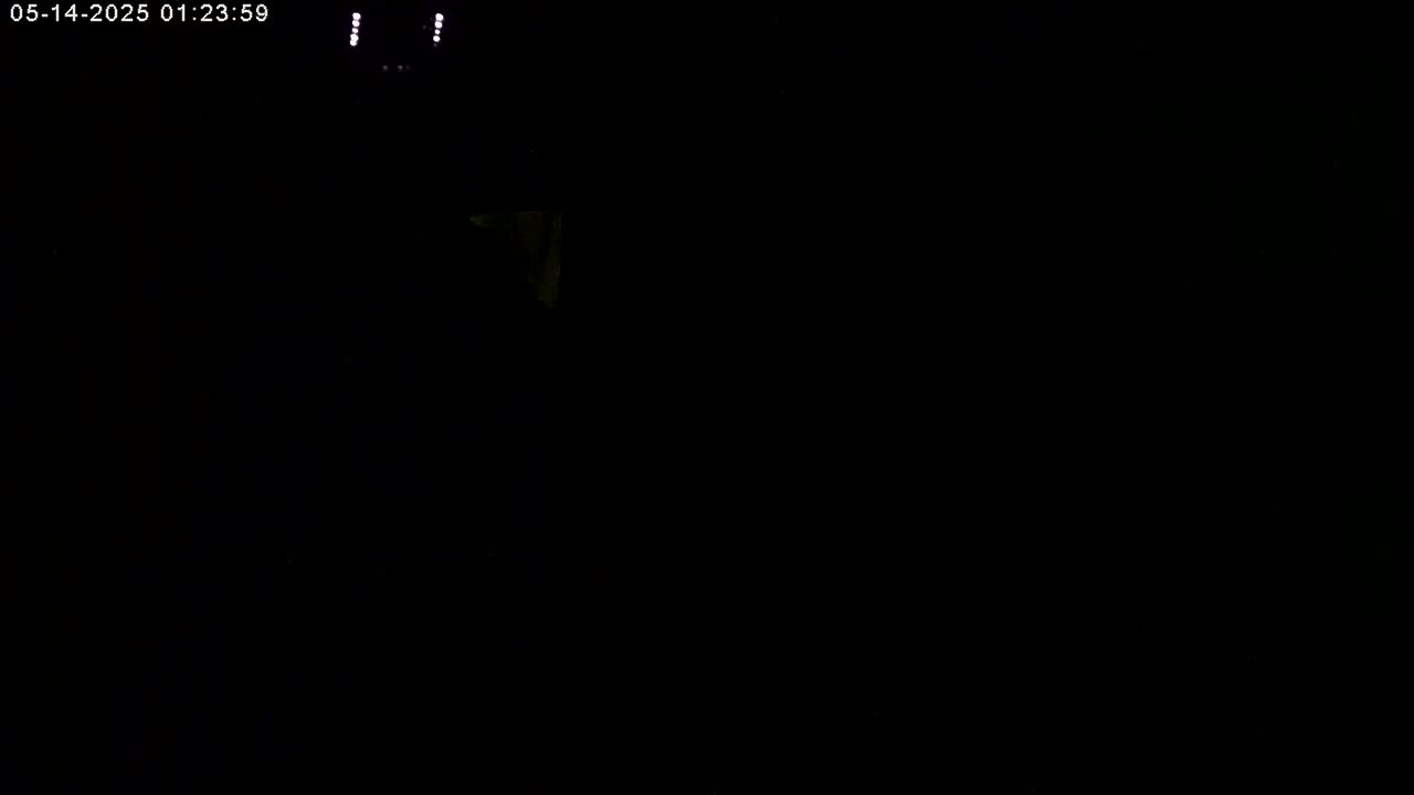 Manhester, NH, Falcon Life Live Cam - Manchester, Hillsborough, New Hampshire, USA