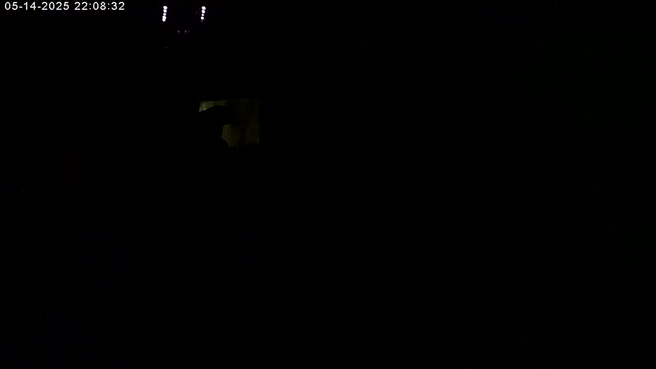 Manhester, NH, Falcon Life Live Cam - Manchester, Hillsborough, New Hampshire, USA