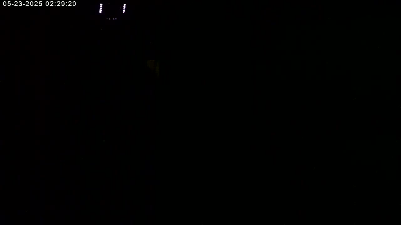 Manhester, NH, Falcon Life Live Cam - Manchester, Hillsborough, New Hampshire, USA