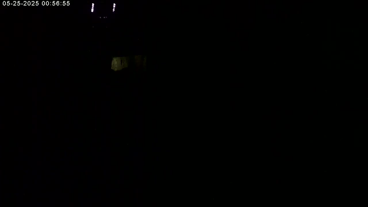 Manhester, NH, Falcon Life Live Cam - Manchester, Hillsborough, New Hampshire, USA