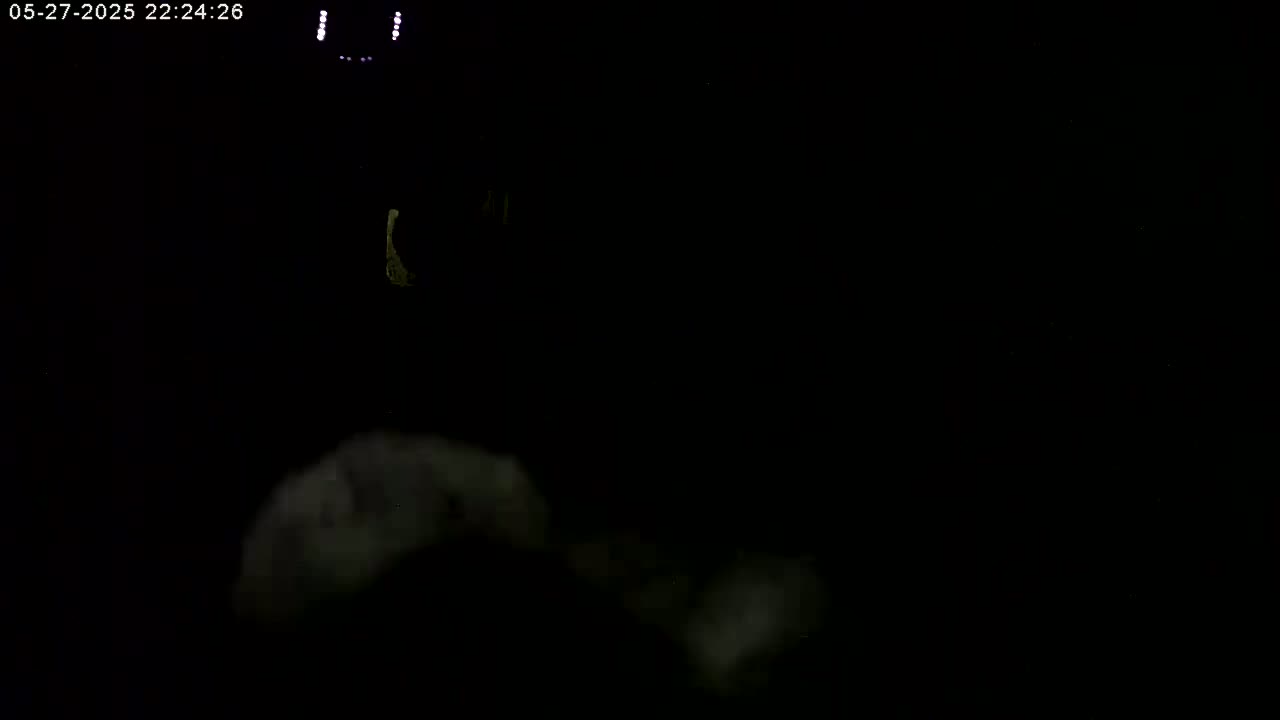 A dark, nighttime scene shows a blurry, indistinct object in the lower portion of the frame, with a brighter, slightly out-of-focus area above it.