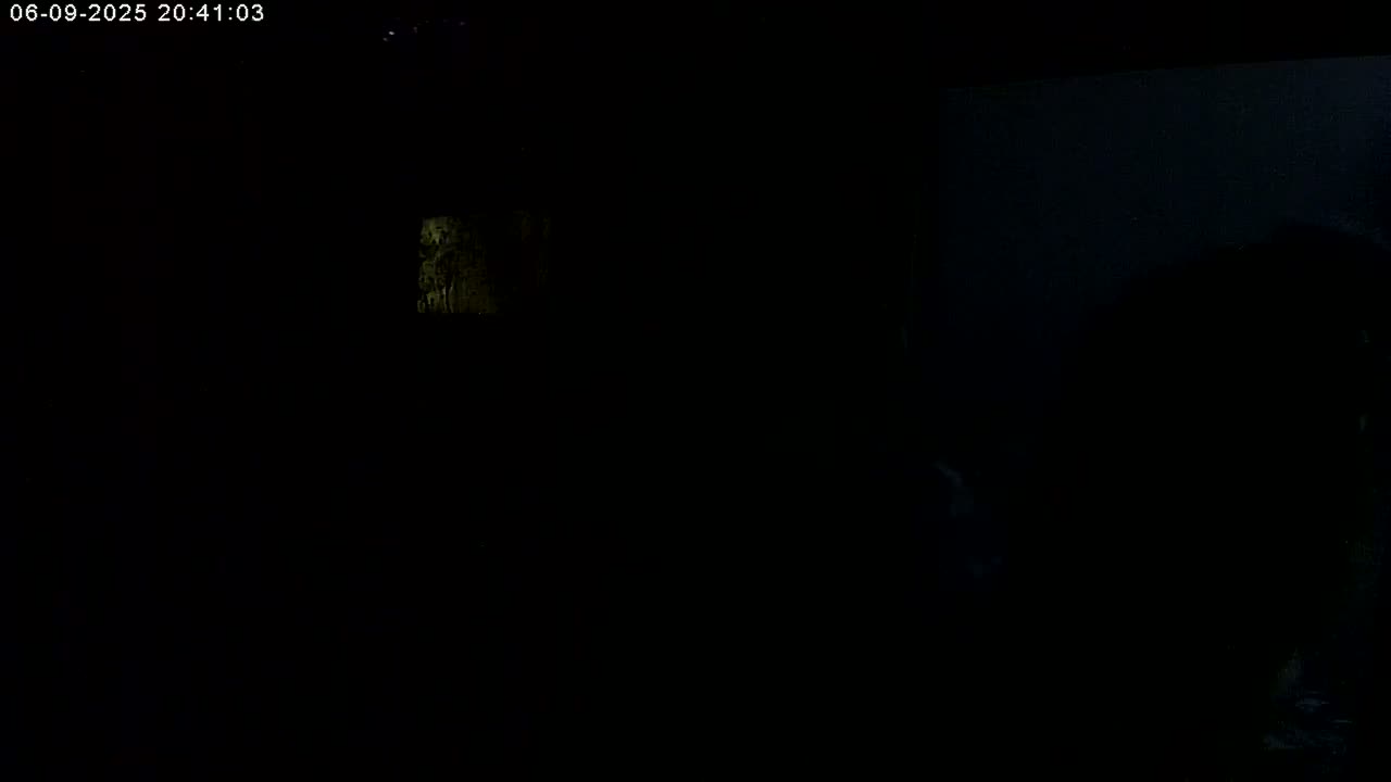 Manhester, NH, Falcon Life Live Cam - Manchester, Hillsborough, New Hampshire, USA