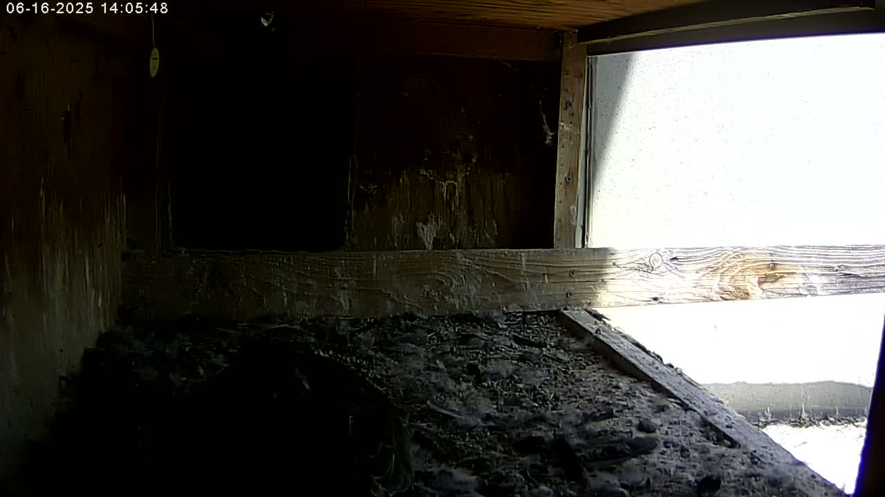 A dark, dusty interior space with a wooden structure and a bright, sunlit area visible through a window.