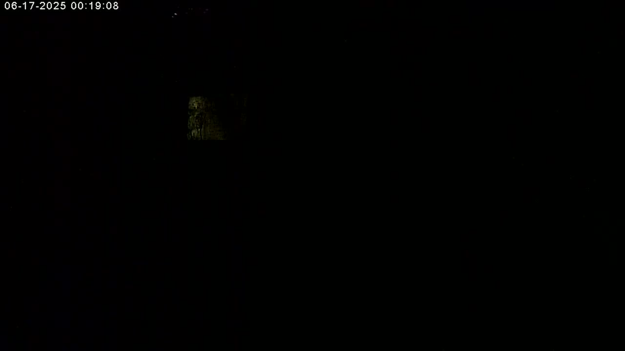 Manhester, NH, Falcon Life Live Cam - Manchester, Hillsborough, New Hampshire, USA