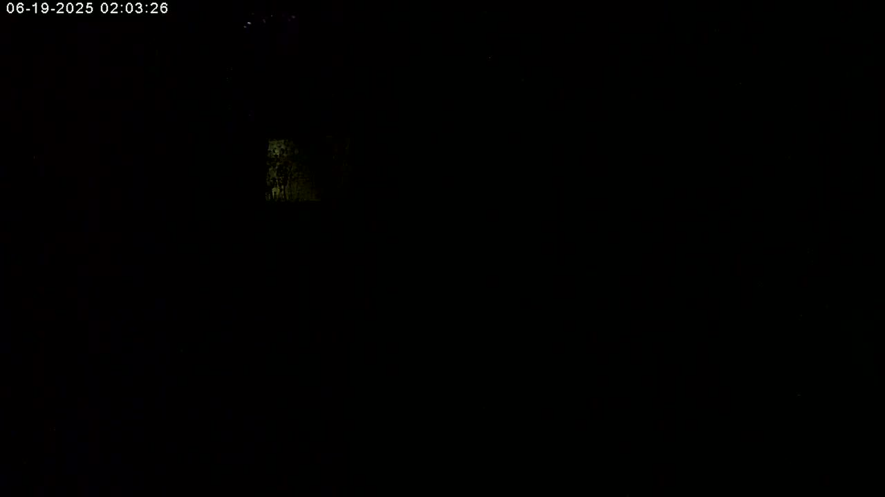 Manhester, NH, Falcon Life Live Cam - Manchester, Hillsborough, New Hampshire, USA