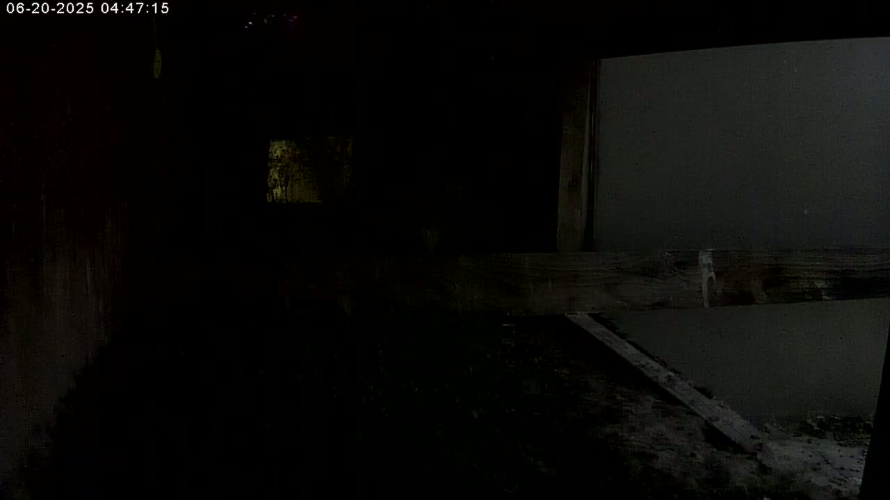 A dark, nighttime scene shows a wooden structure with a gray wall, partially visible in the background.