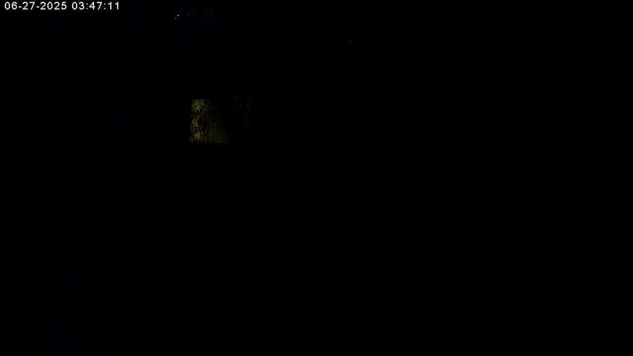 A very dark image shows a small, indistinct, glowing area in the upper left.